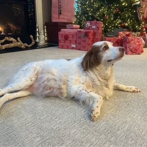 Hi! My name is Bella.